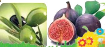 صورة 2